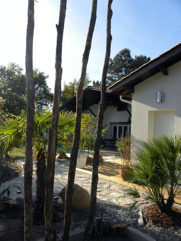 Villa Mogador Piscine Et Balneo Андернос-ле-Бен Екстериор снимка